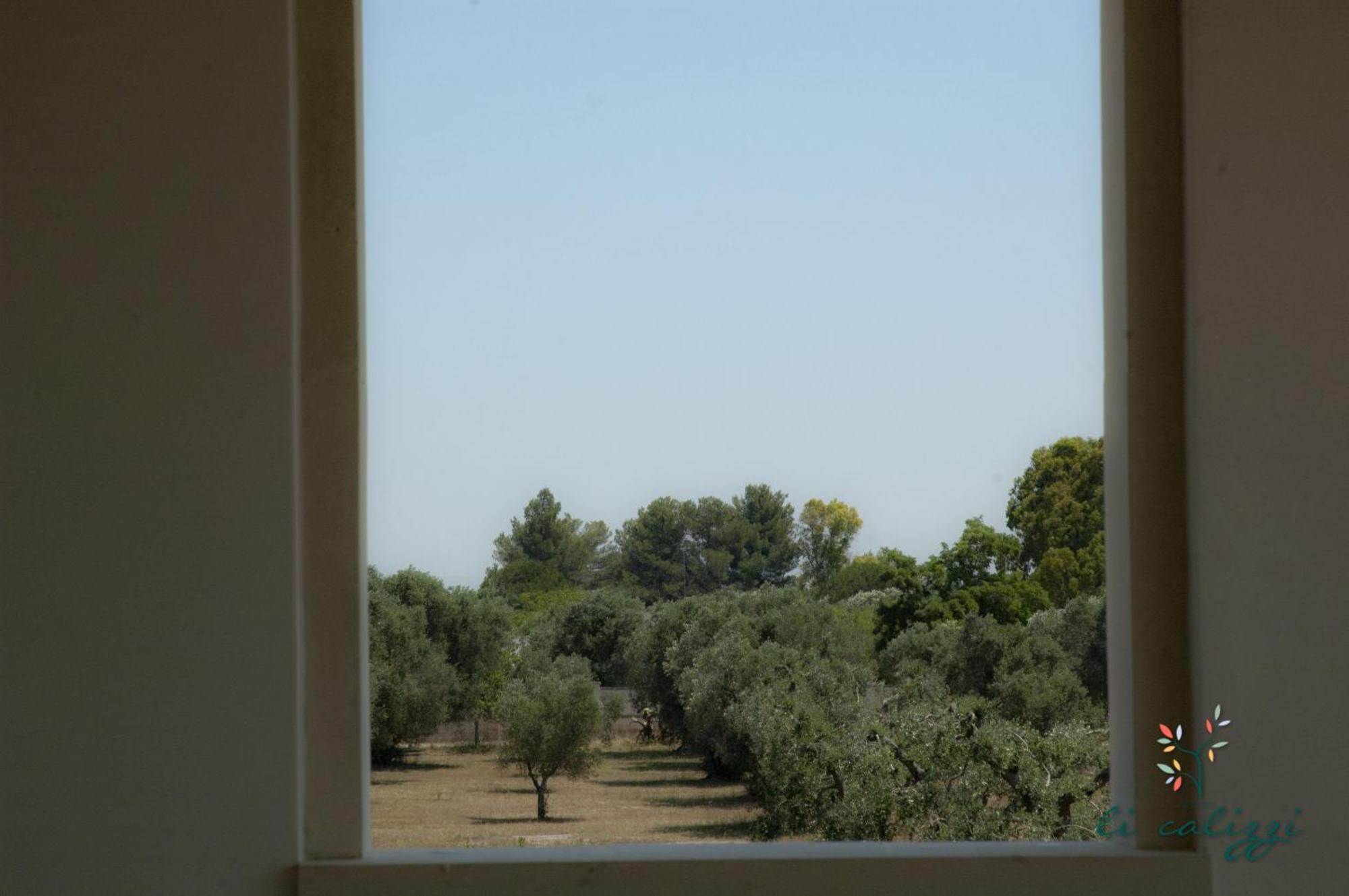 Li Calizzi Arte E Natura Novoli