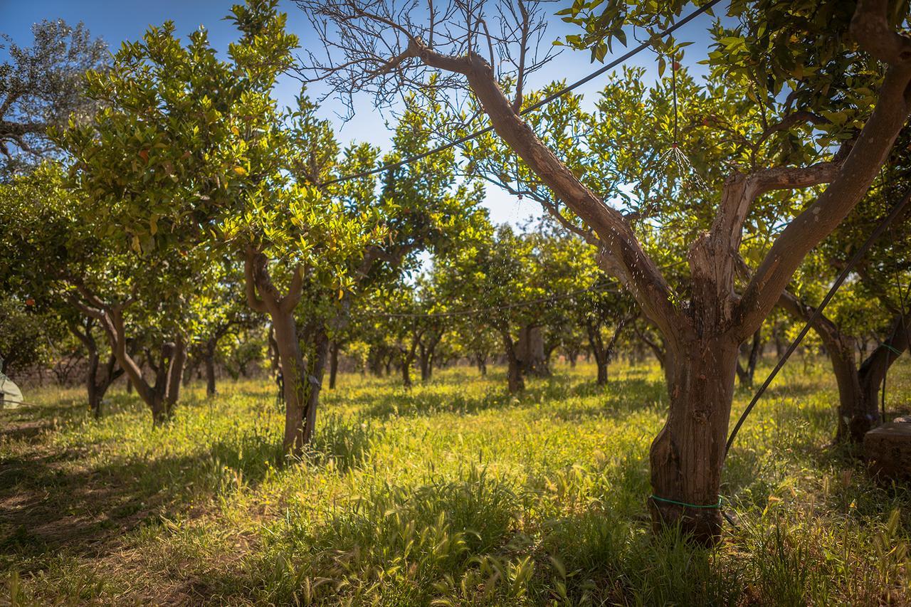 Li Calizzi Arte E Natura Agroturismo *